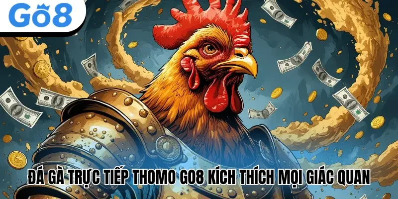 đá gà trực tiếp thomo